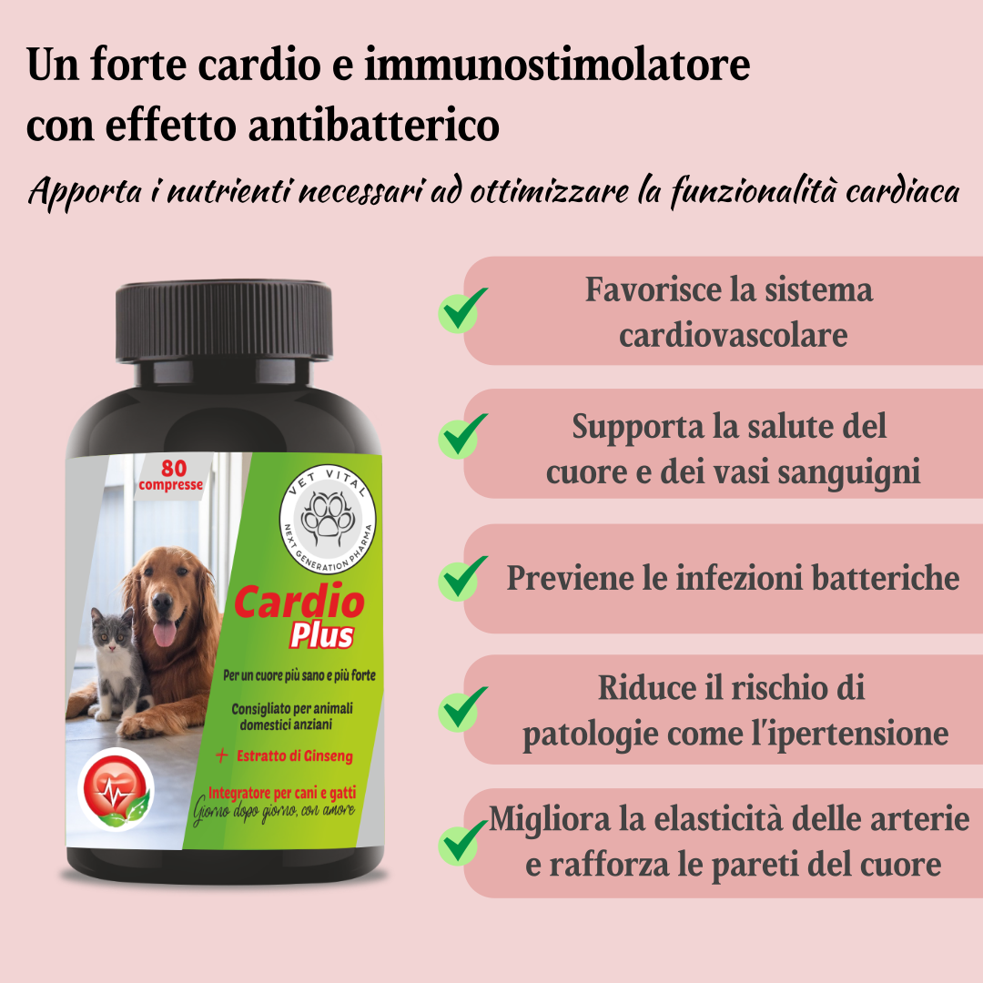 Cardio Plus
