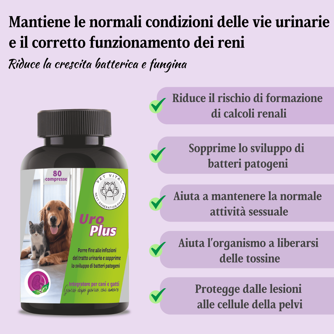 Uro Plus