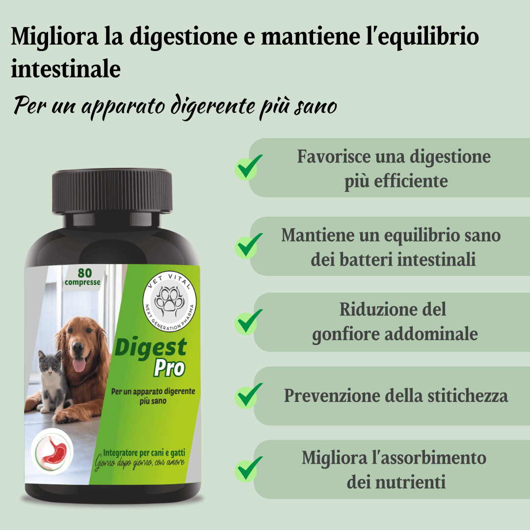 Digest Pro