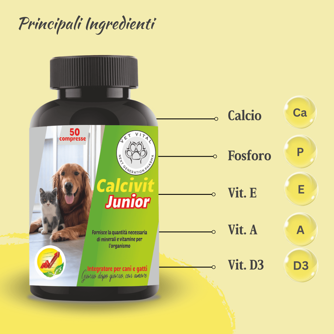 Calcivit Junior