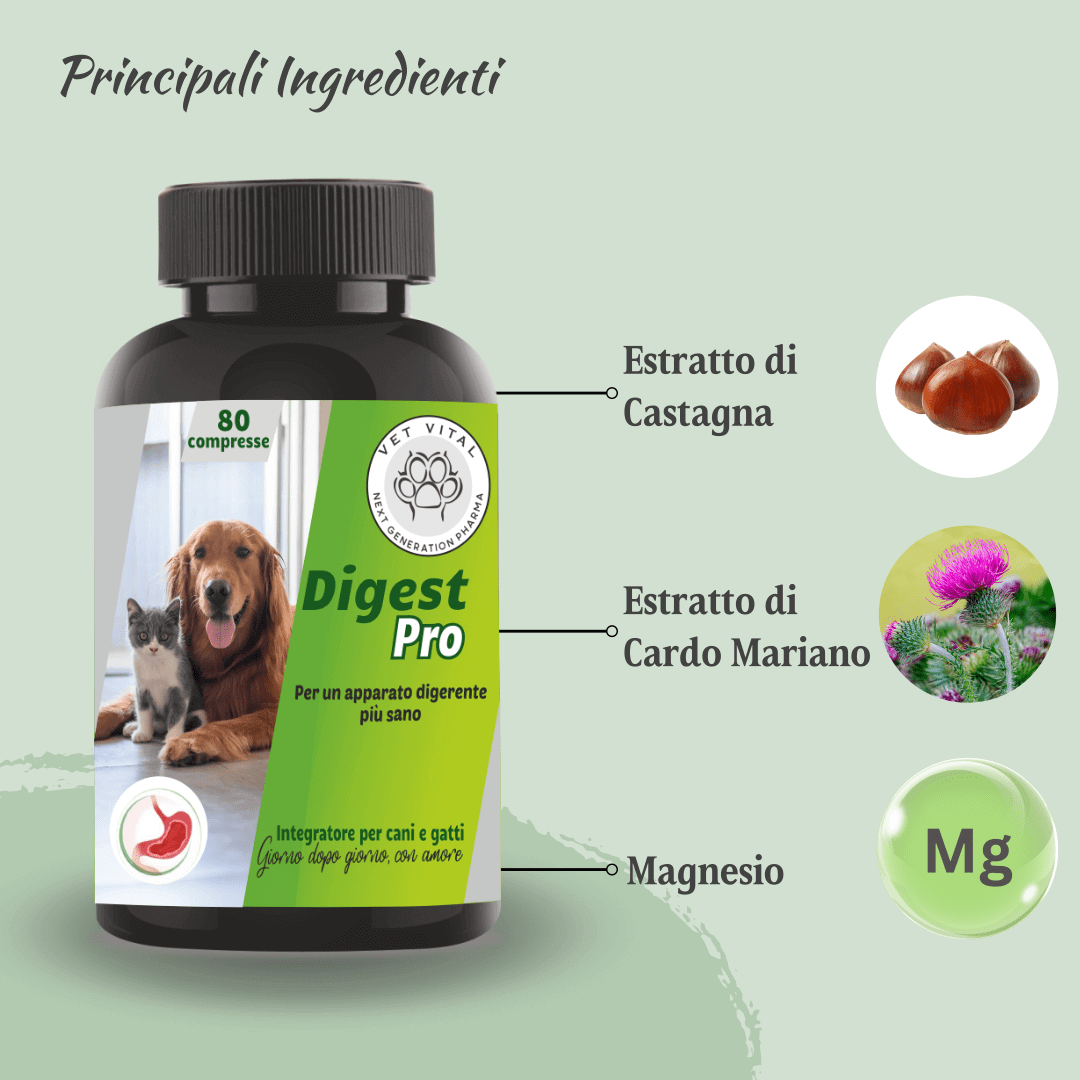 Digest Pro