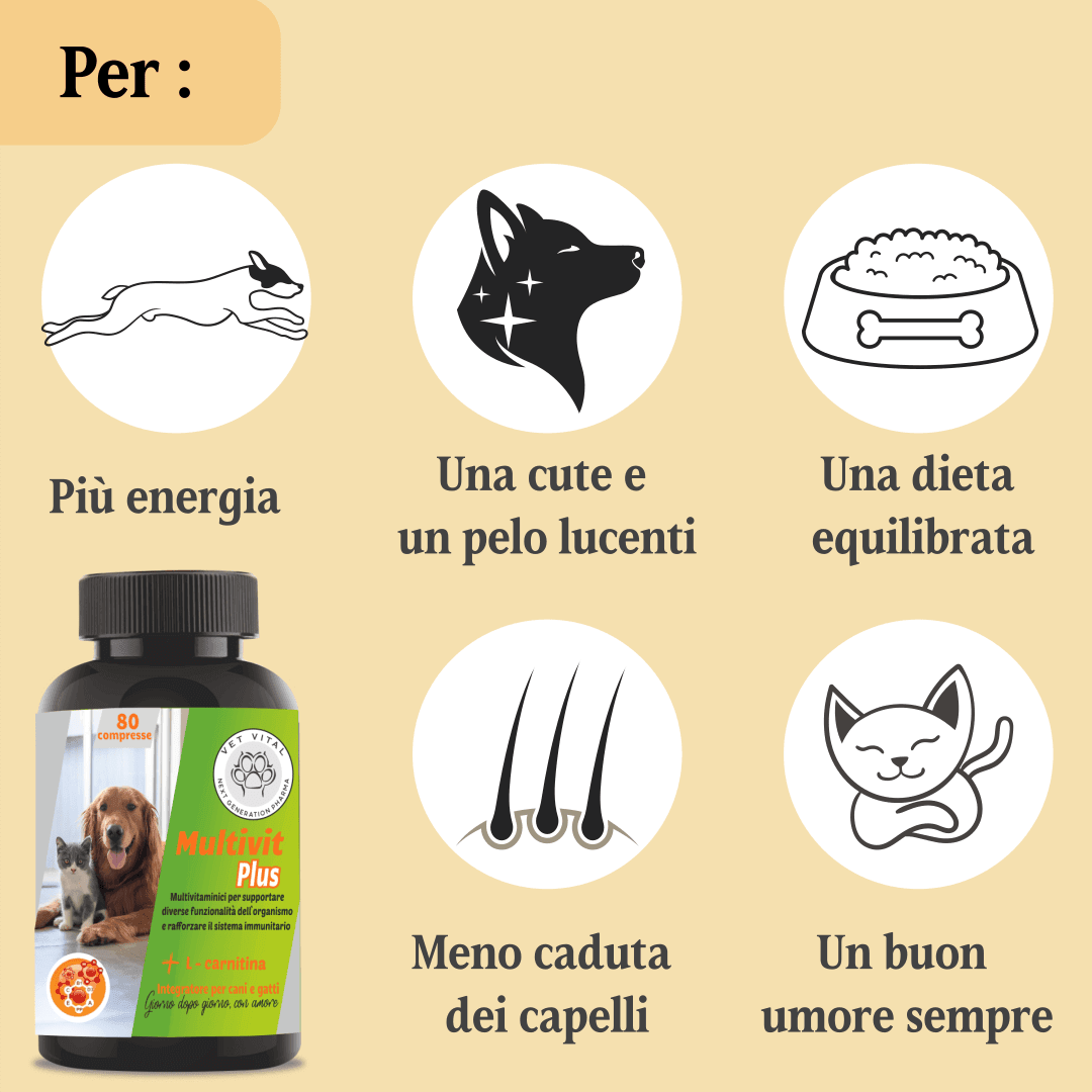 Multivit Plus