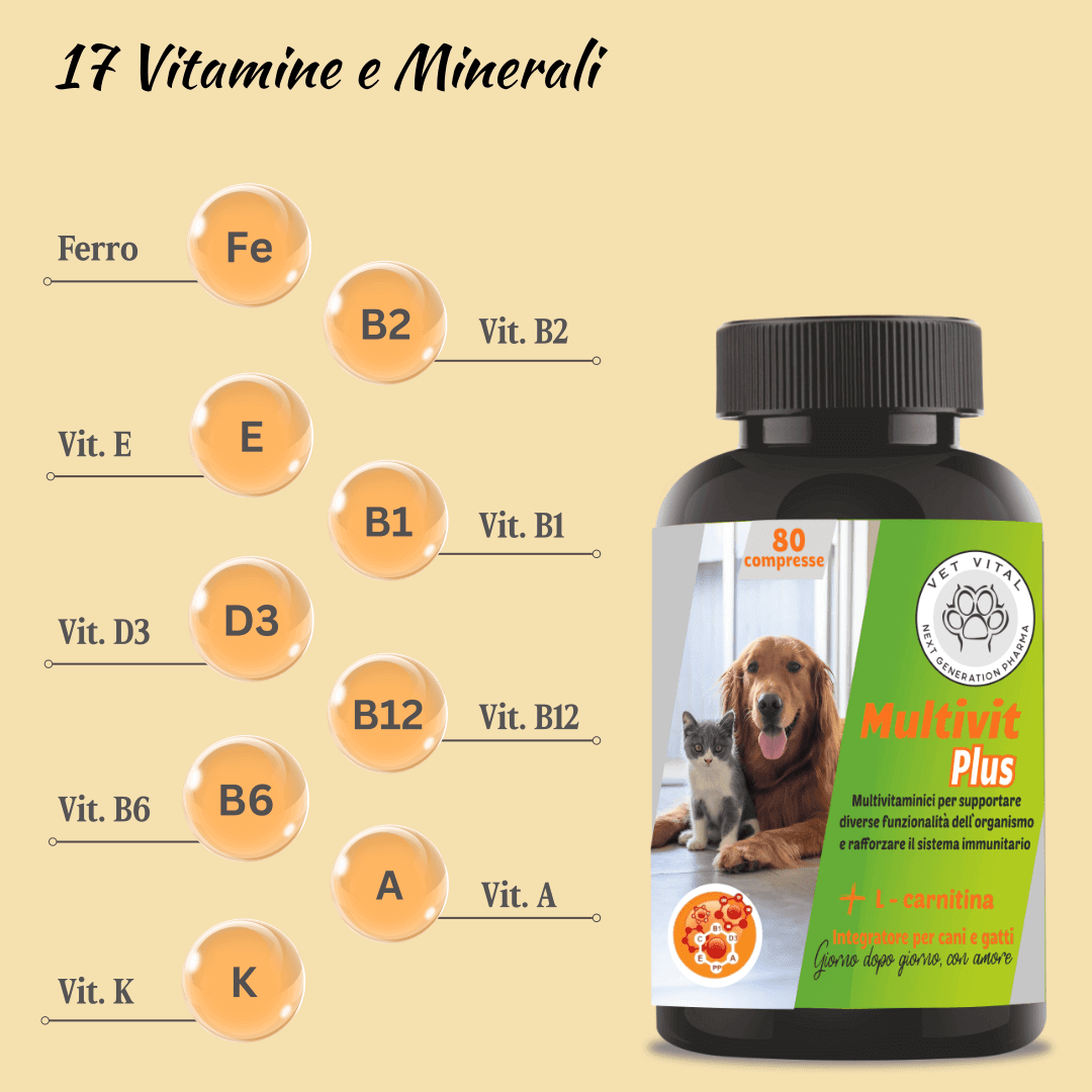 Multivit Plus