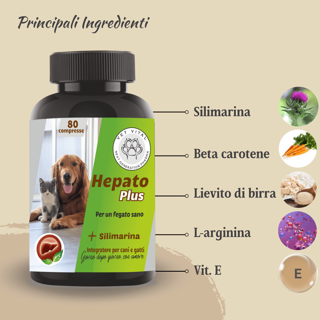 Hepato Plus