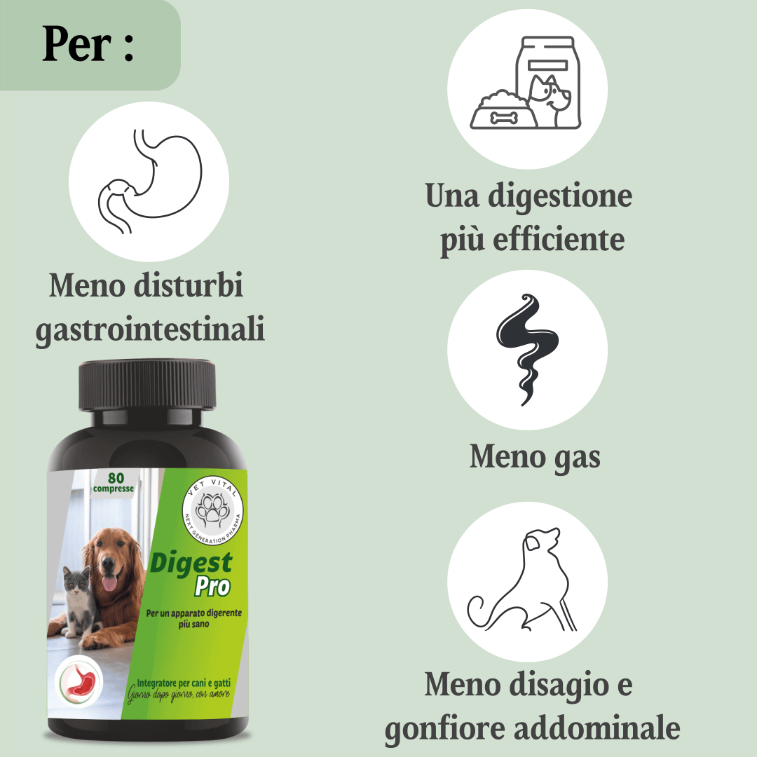 Digest Pro
