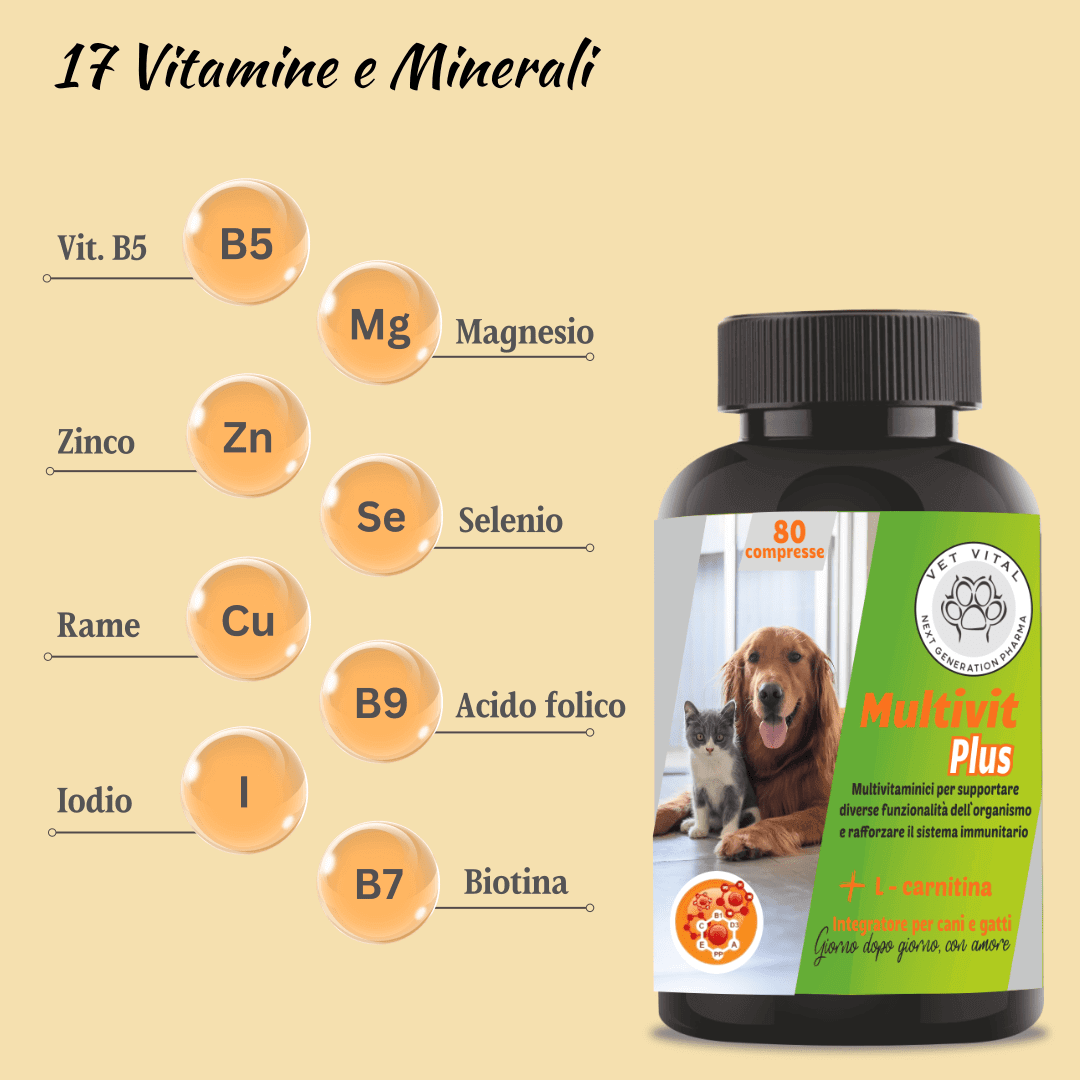 Multivit Plus