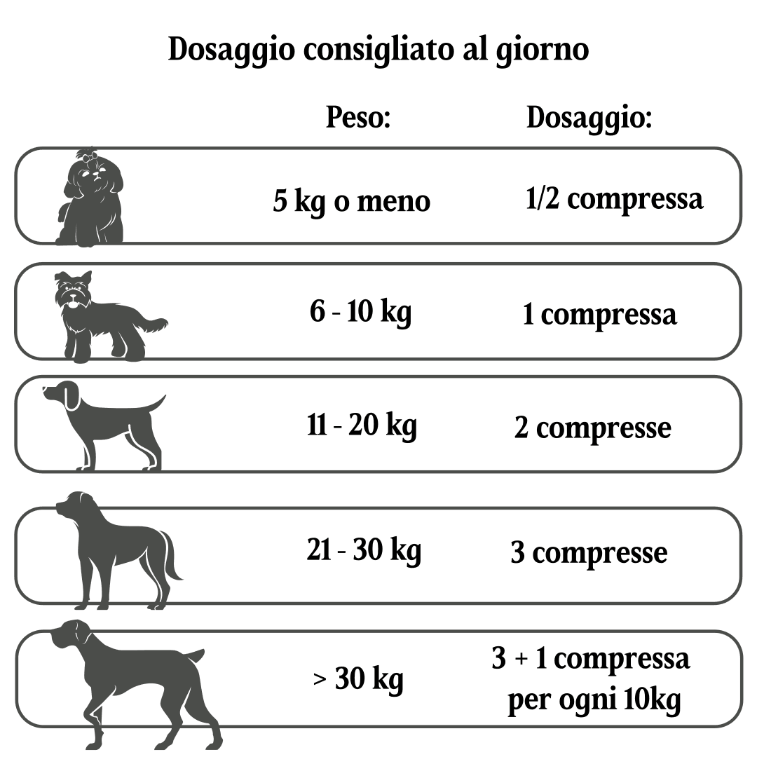 Multivit Plus