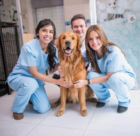 Vet Vital Pharma Integratori Naturali per cani e gati