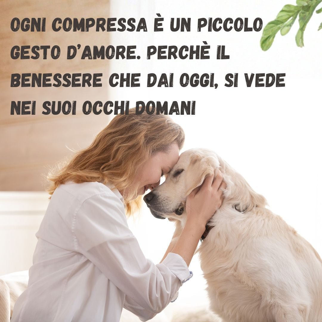 Digest Pro - Supporto per la Digestione