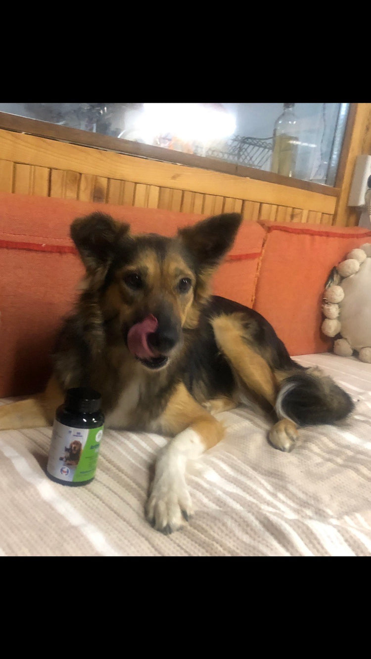 Vet Vital Pharma Artro Flex Integratore Naturale per Cani e Gatti