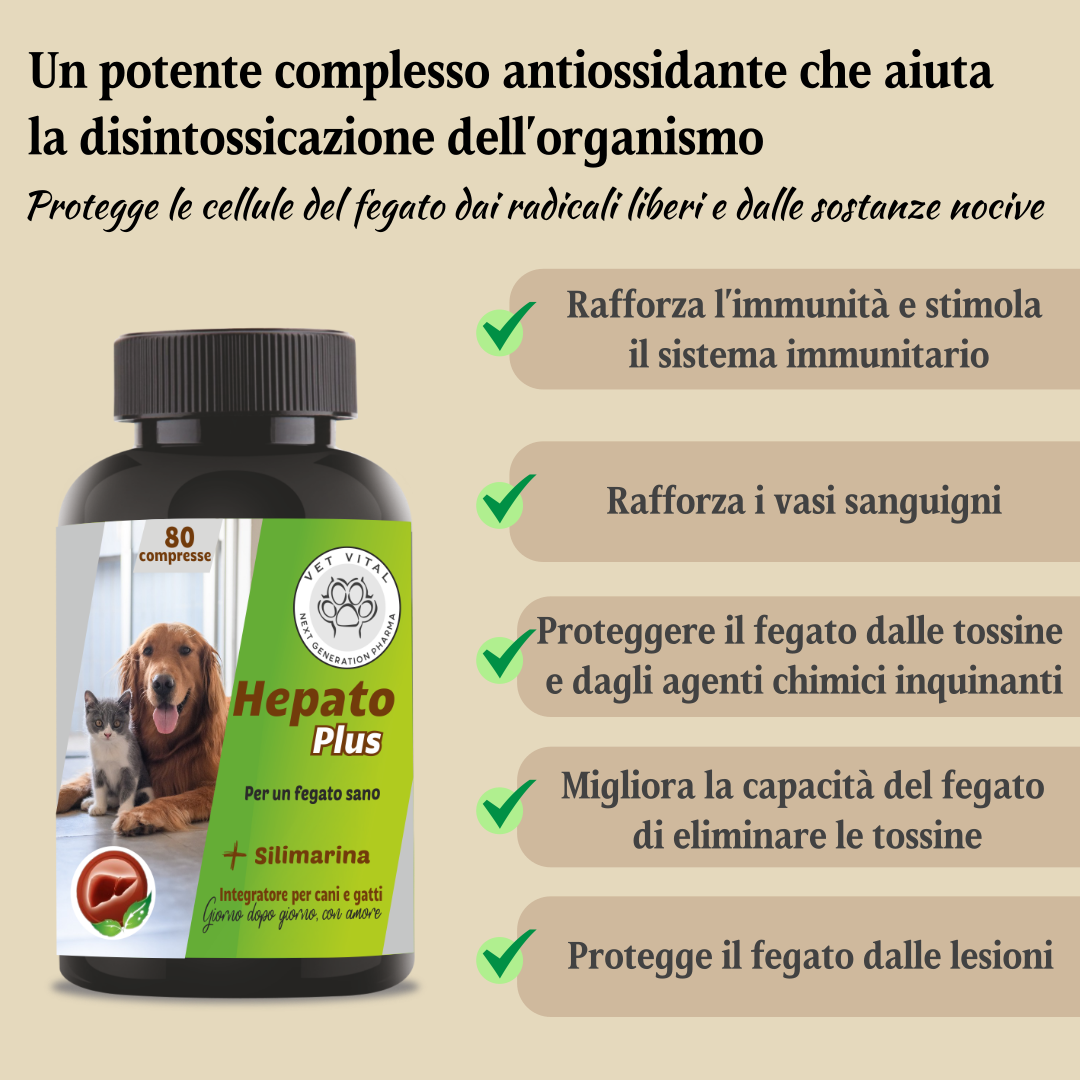 Hepato Plus