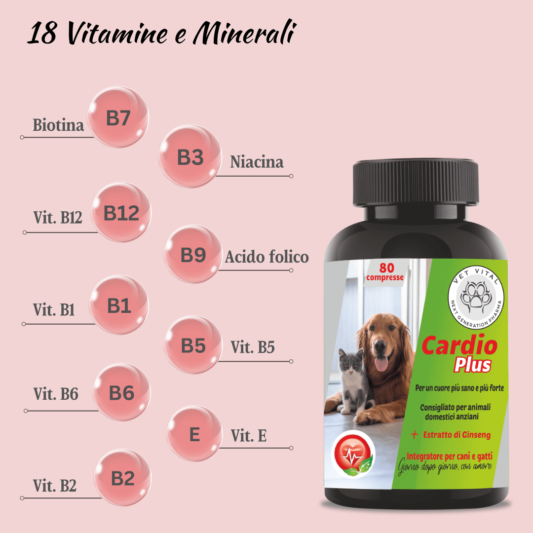 Cardio Plus