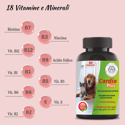 Cardio Plus