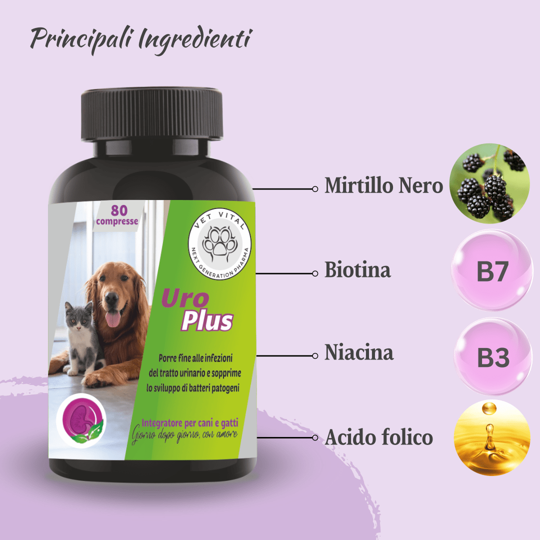 Uro Plus