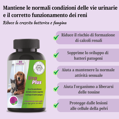 Uro Plus