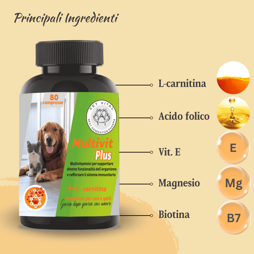 Multivit Plus