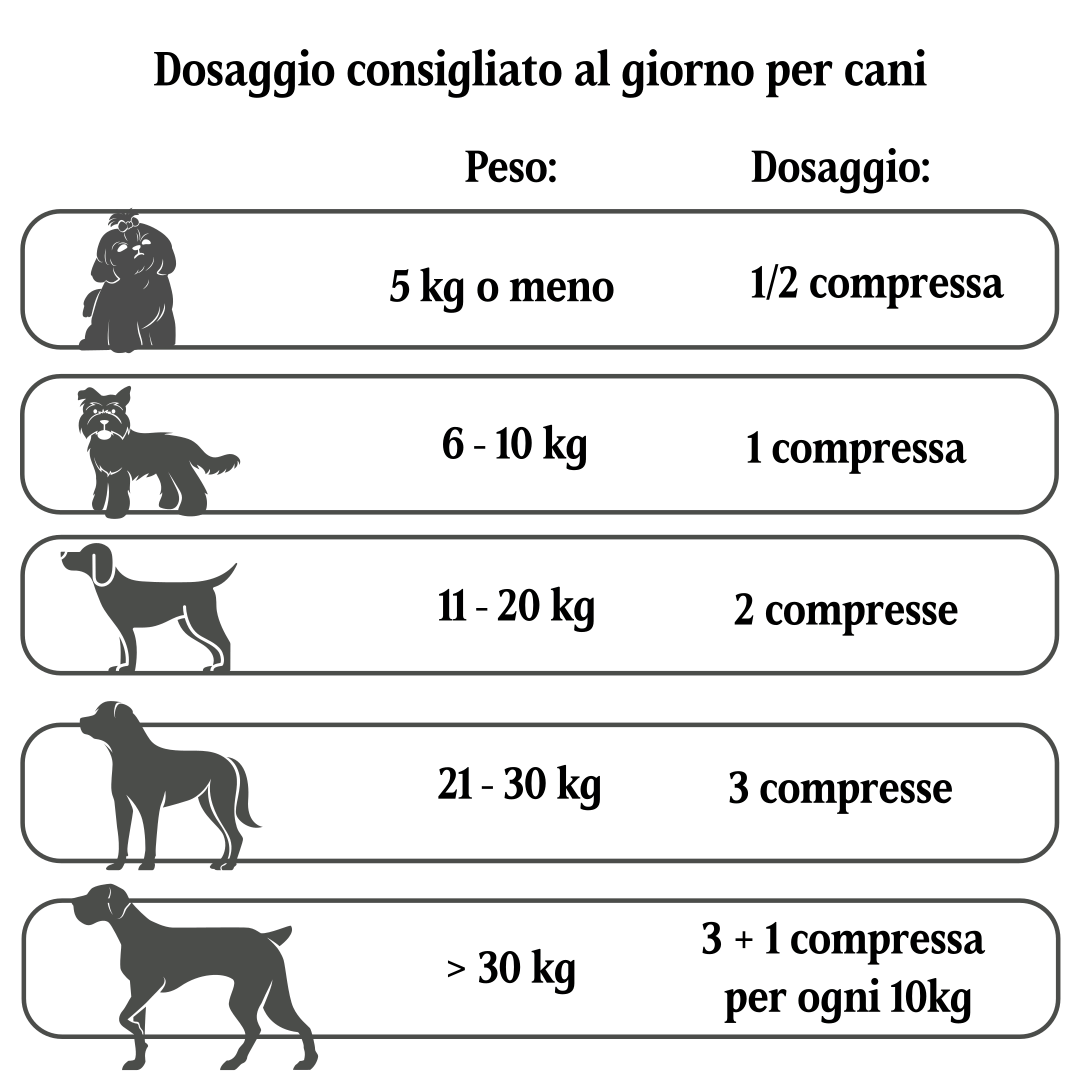 Calcivit Junior