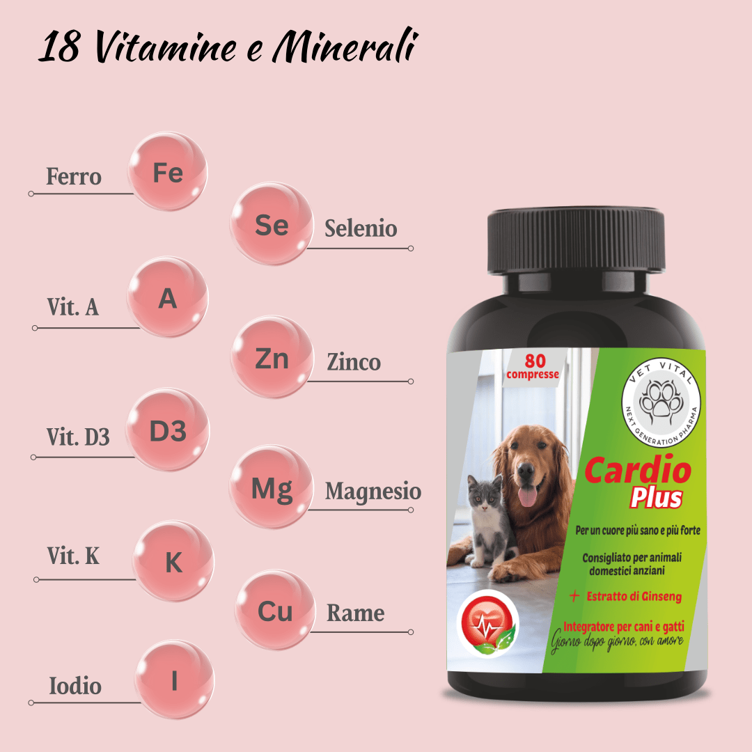 Cardio Plus