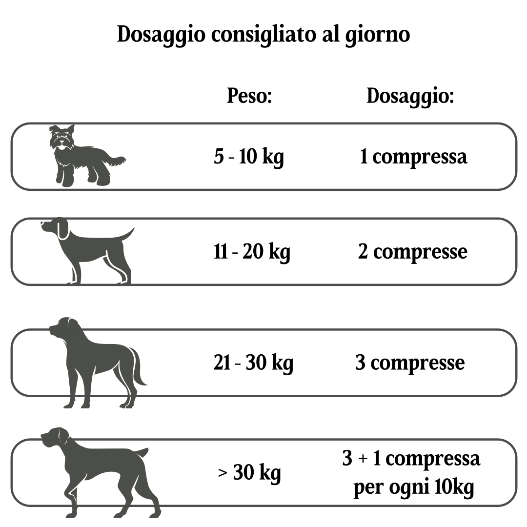 Cardio Plus