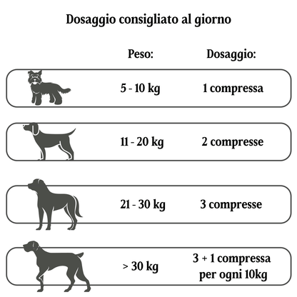 Cardio Plus