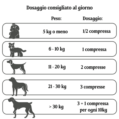 Multivit Plus