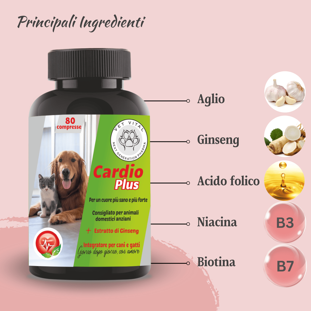 Cardio Plus