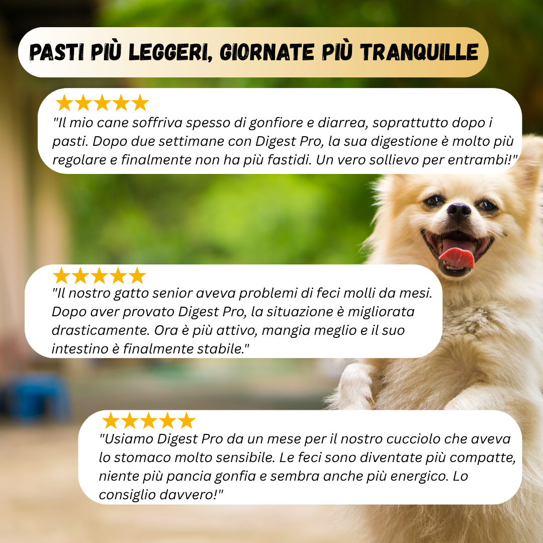 Digest Pro - Supporto per la Digestione