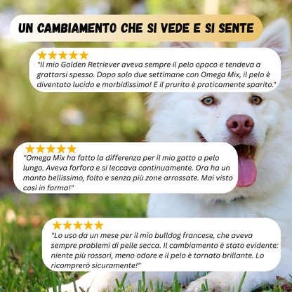 Omega Mix - Pelle & Pelo